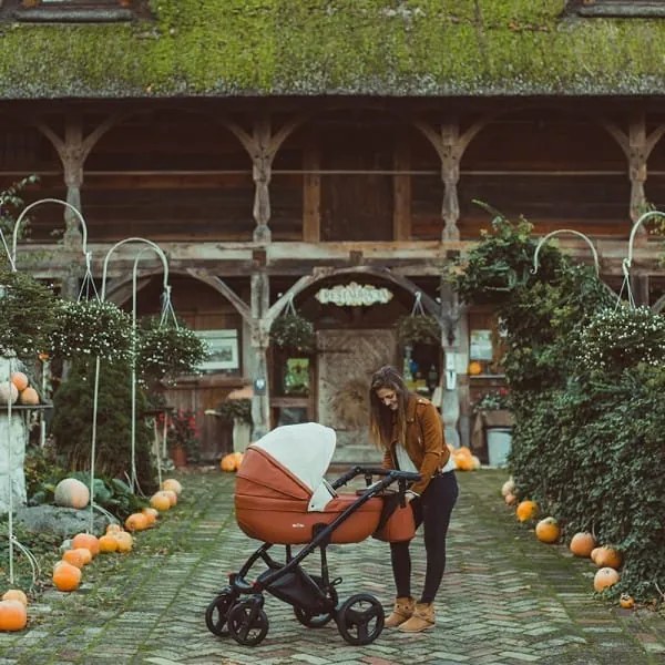 ΣΥΣΤΗΜΑ ΜΕΤΑΦΟΡΑΣ STARLET EKO 2 IN 1 MOKA Milu Kids