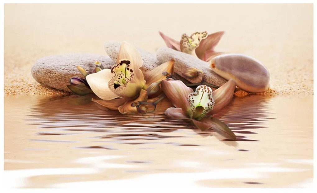 Φωτοταπετσαρία - beach - water lily 450x270