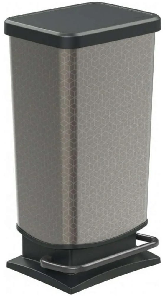 Κάδος Απορριμμάτων Paso 06911.001 Hexagon 40Lt Silver-Black Metal, Plastic