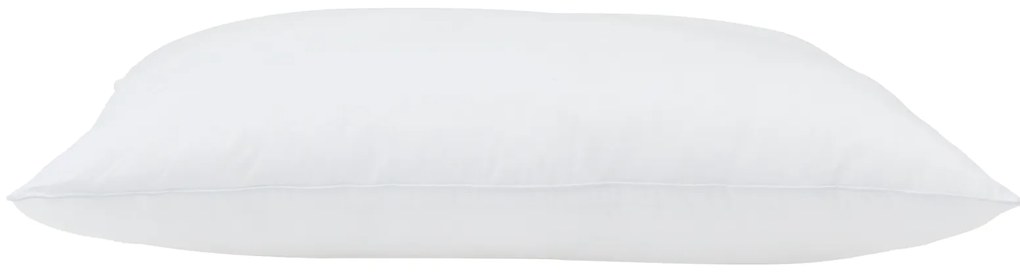 vidaXL Μαξιλάρια 2 pcs Λευκό 30 x 50 cm