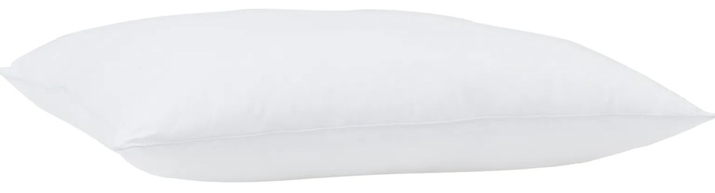 vidaXL Μαξιλάρια 2 pcs Λευκό 30 x 50 cm