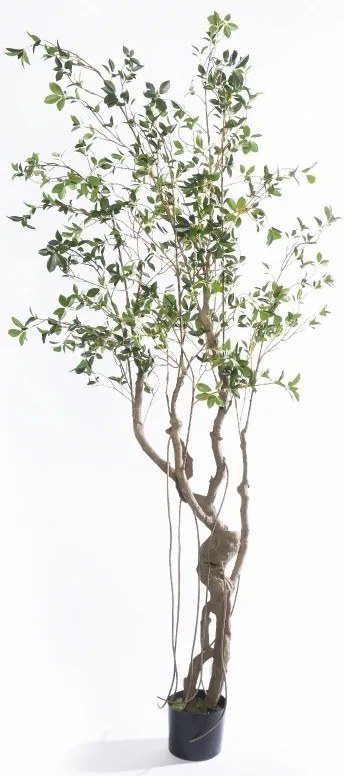 Supergreens Τεχνητό Δέντρο Φίκος Microcarpa Πράσινο 210 εκ.