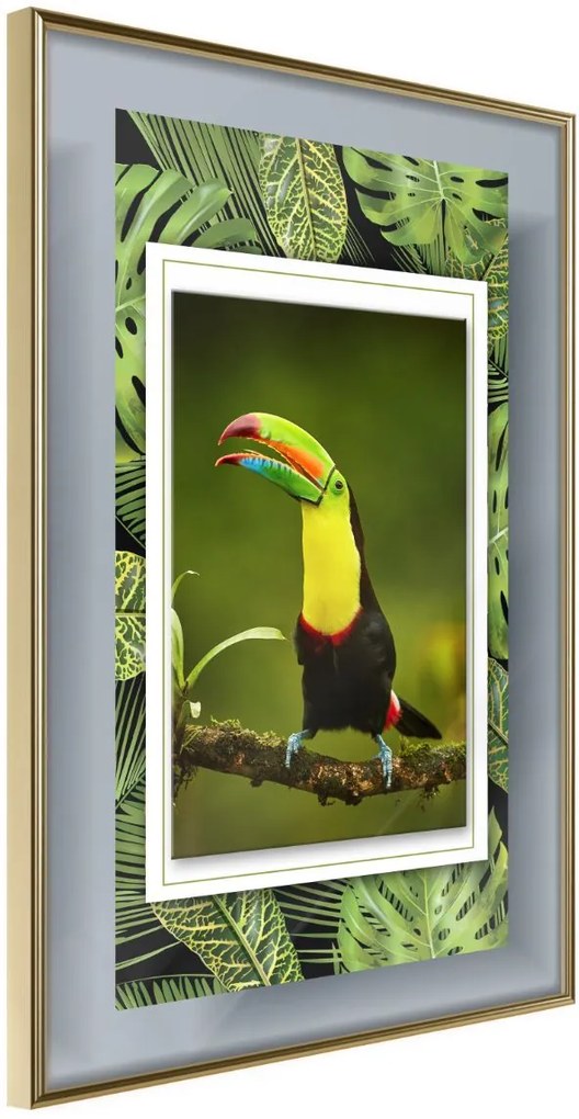 Αφίσα - Toucan in the Frame - 40x60 - Χρυσό - Χωρίς πασπαρτού