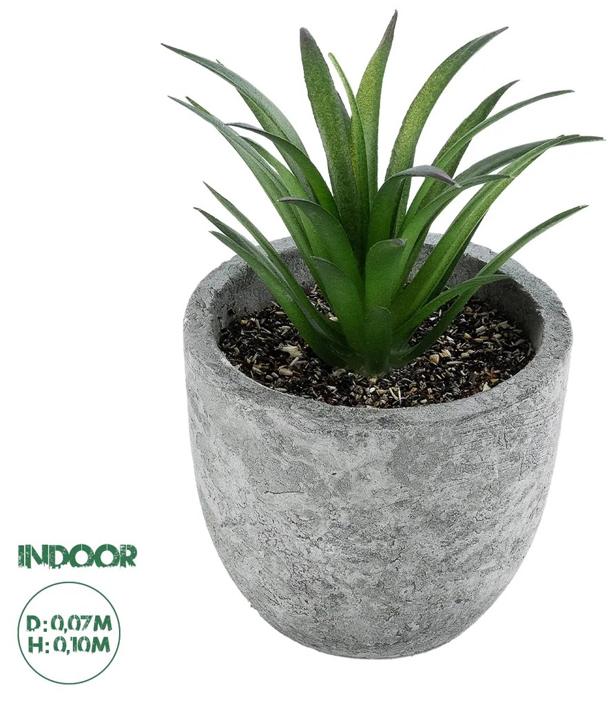 Artificial Garden SUCCULENT ALOE 21030 Διακοσμητικό Φυτό Παχύφυτο Αλόη Υ10cm