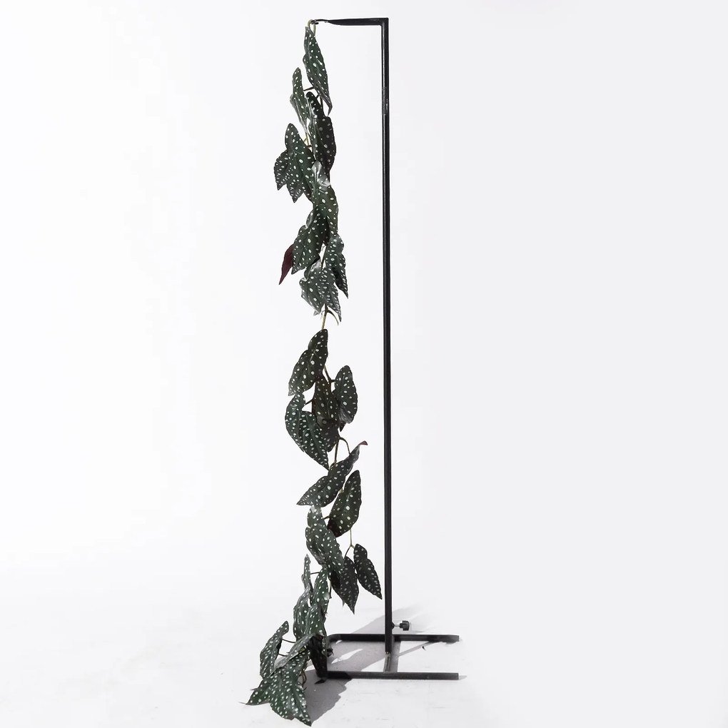 Supergreens Τεχνητή Γιρλάντα Μπιγκόνια Maculata 170 εκ. - 5261-7 - 5261-7