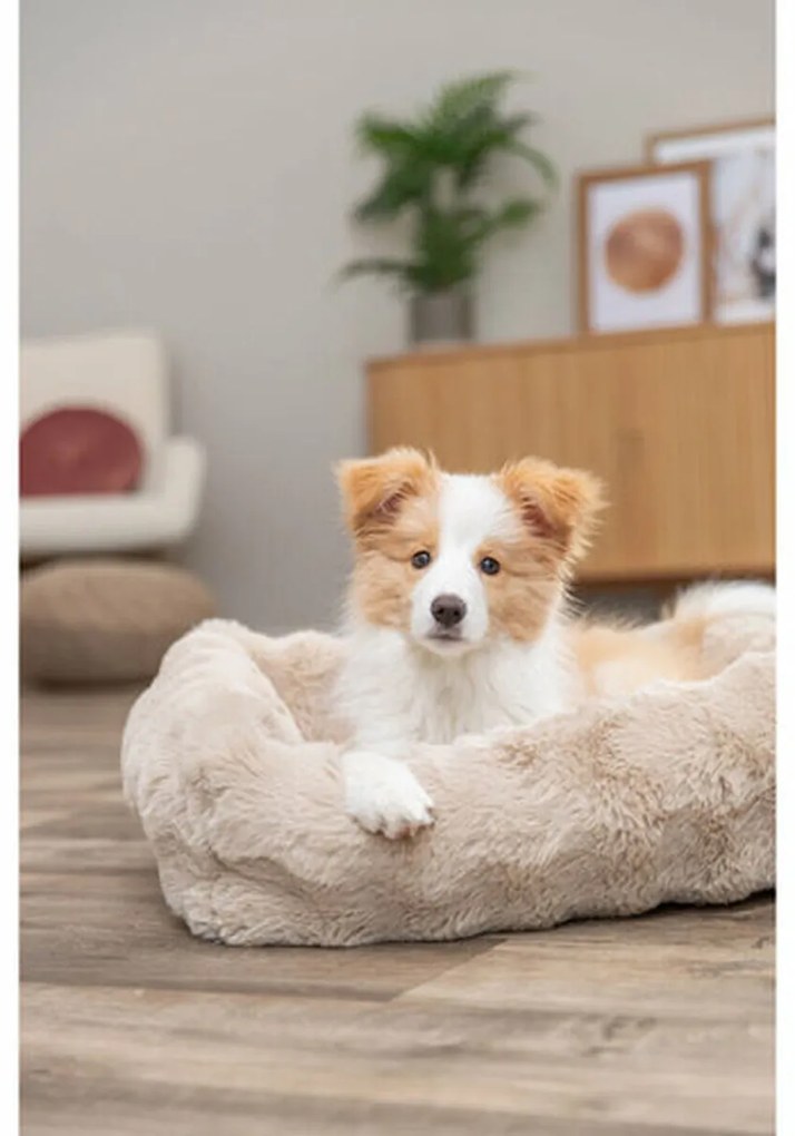 Κρεβάτιγια Σκύλους Trixie Άμμο 60 × 50 cm