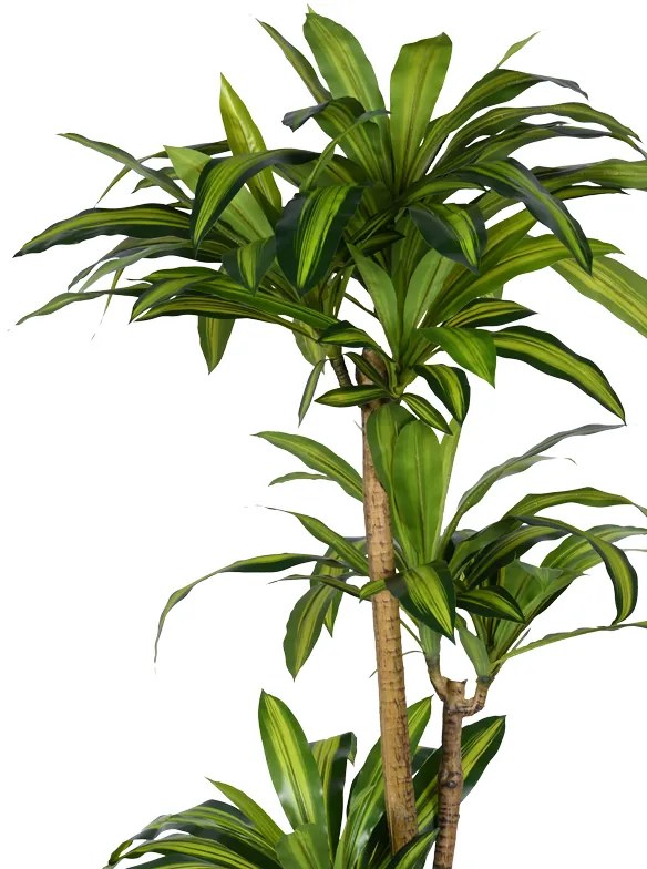 Διακοσμητικό φυτό Dracaena I σε γλάστρα Inart  πράσινο pp Υ170εκ