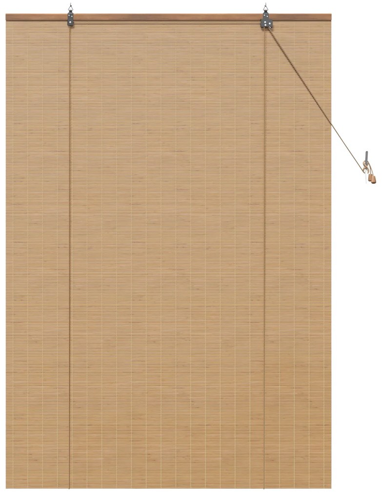 vidaXL Ρολά και Σκίες Παραθύρων Ανοιχτό καφέ 100 x 160 cm Μπαμπού