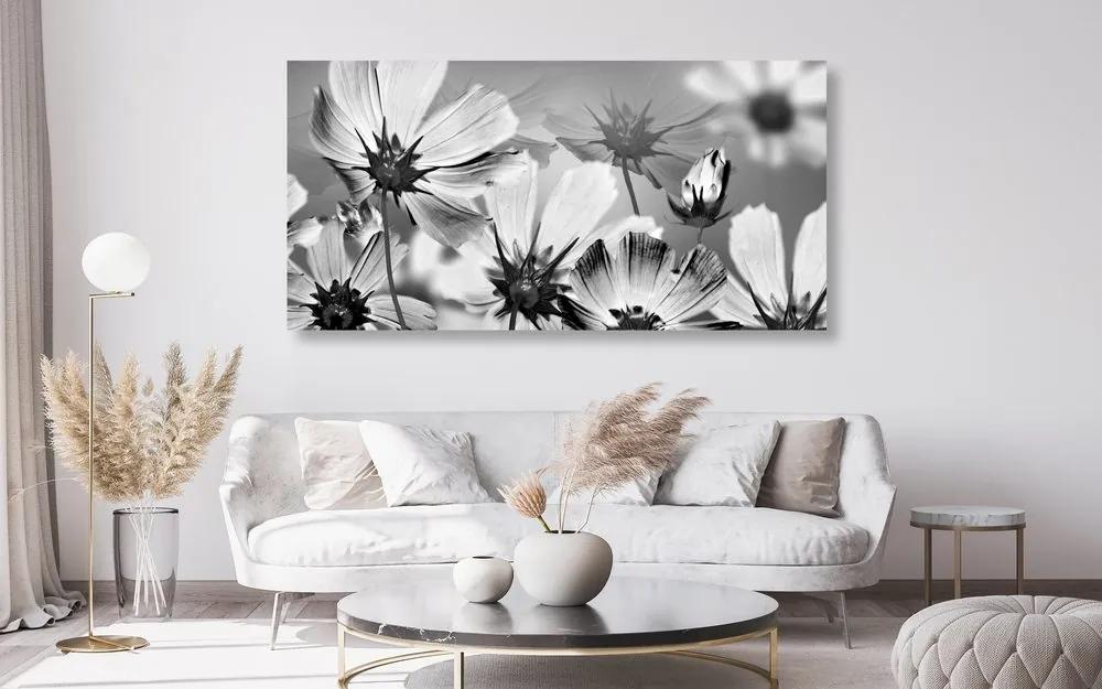 Εικόνα λουλουδιών κήπου σε μαύρο & άσπρο - 120x60