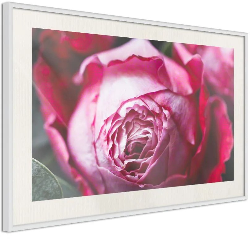 Αφίσα - Blooming Rose - 30x20 - Χρυσό - Χωρίς πασπαρτού