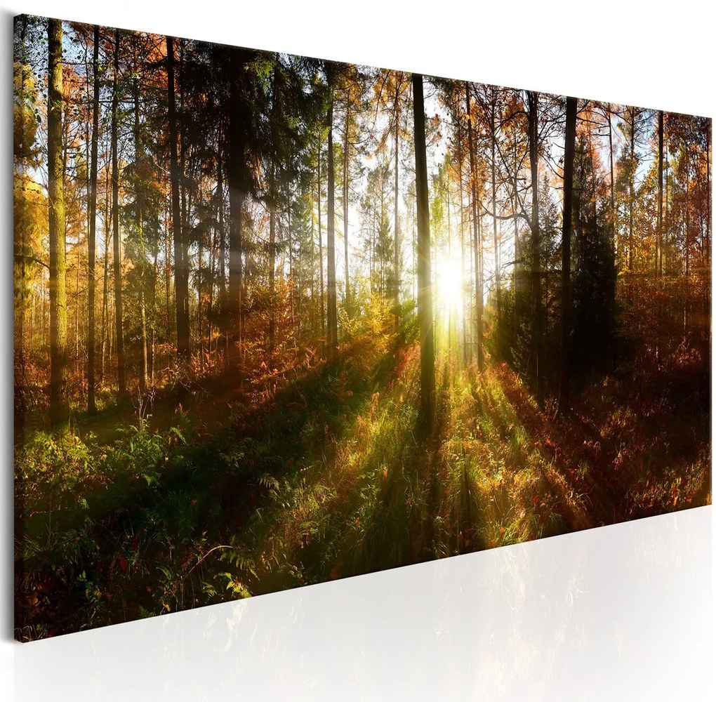 Πίνακας - Beautiful Forest  135x45