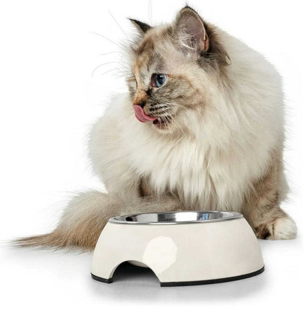 Ταΐστρα σκύλων Hunter μελαμίνη Ανοξείδωτο ατσάλι Λευκό 350 ml (18,5 x 18,5 x 9,5 cm)