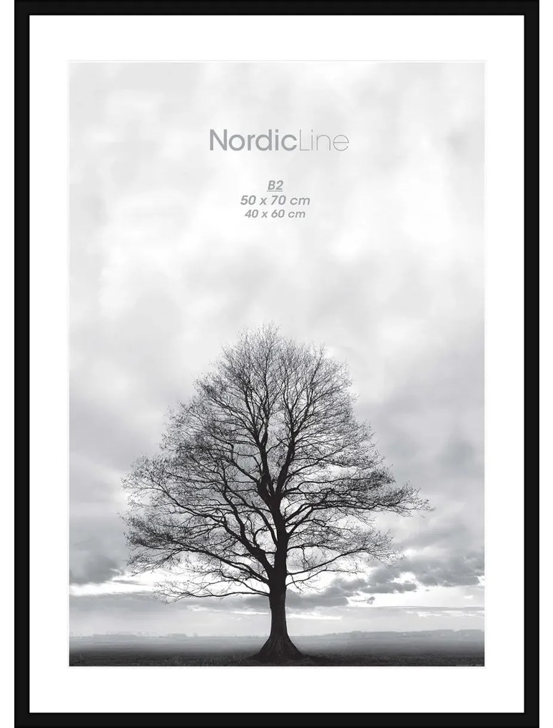 Κορνίζα Nordic Line Slim - Μαύρο Ξύλο Ακρυλικό Γυαλί W50 x H70 cm INCADO