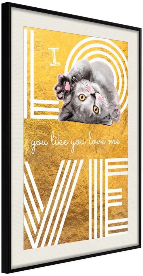 Αφίσα - Cat Love - 20x30 - Μαύρο - Με πασπαρτού