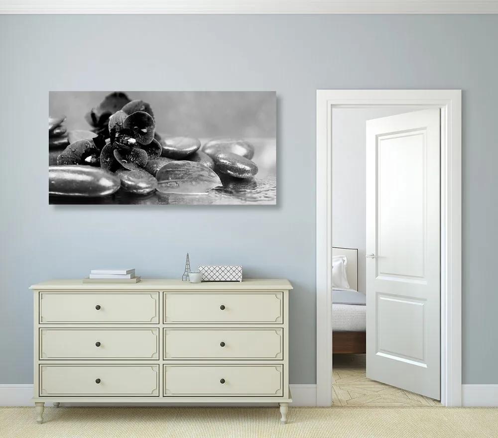 Εικόνα ορχιδέας με μια πινελιά χαλάρωσης σε ασπρόμαυρο - 100x50