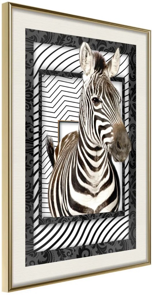 Αφίσα - Zebra in the Frame - 20x30 - Χρυσό - Με πασπαρτού