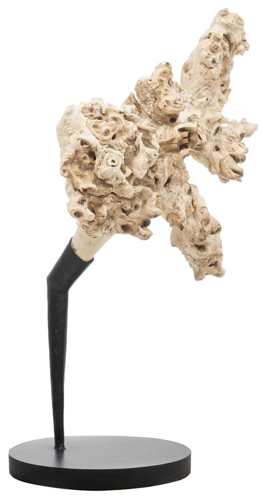 Artwork/Sculpture S Line 62cm S3504-00K4