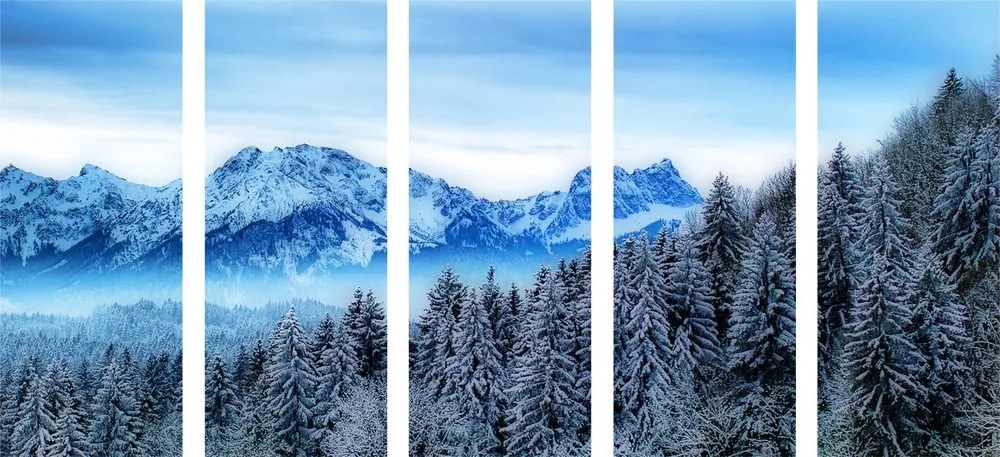 Εικόνα 5 μερών ενός παγωμένου βουνού - 100x50