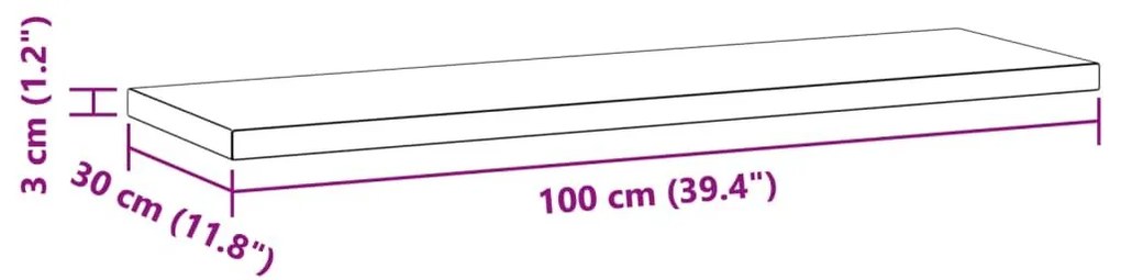 Ράφια Τοίχου 2Τεμ. Ασημί 100x30x3 εκ. Ανοξείδωτο Ατσάλι - Ασήμι