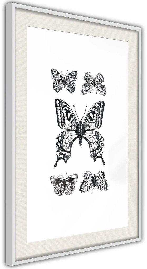 Αφίσα - Butterfly Collection IV - 20x30 - Χρυσό - Με πασπαρτού