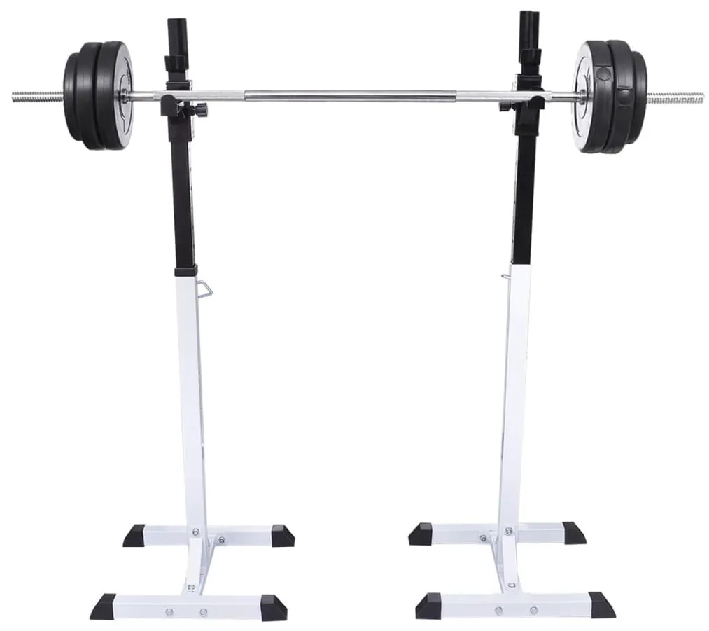 vidaXL Ορθοστάτης Μπάρας/Squat Rack με Σετ Μπάρα και Αλτήρες 30,5 κ.