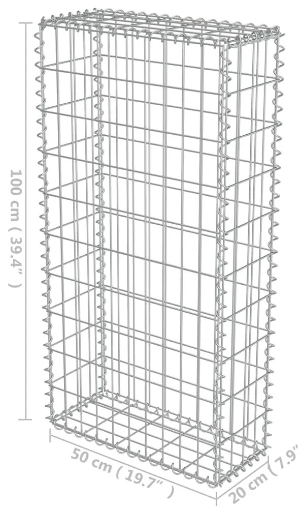 vidaXL Συρματοκιβώτιο Τοίχος 50x20x100 εκ. Γαλβαν.Χάλυβας + Καλύμματα