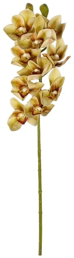 Τεχνητό Λουλούδι Cymbidium 21408 75cm Champagne GloboStar Πολυαιθυλένιο