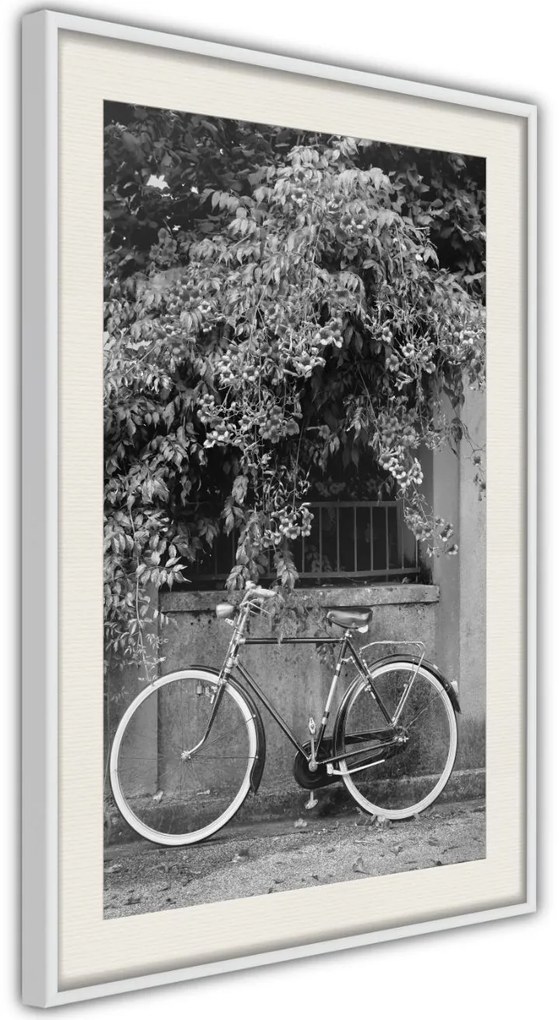 Αφίσα - Bicycle with White Tires - 20x30 - Χρυσό - Χωρίς πασπαρτού