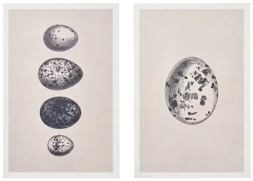 BJÖRNAMO λιθογραφία σε ξύλο/Αβγά, 20x30 cm 305.332.14