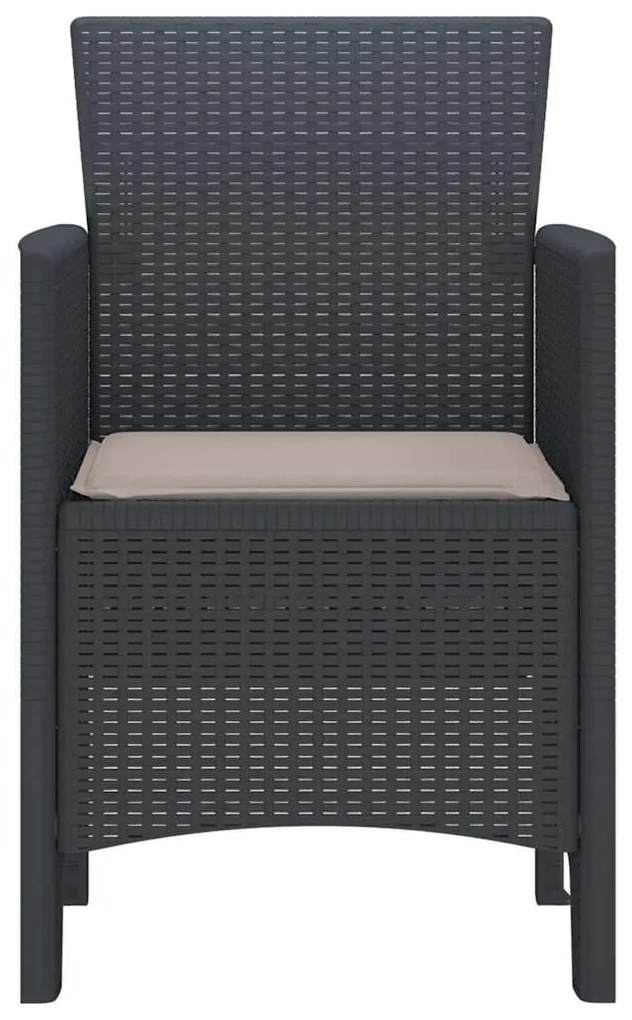 vidaXL Καρέκλα Κήπου 2 pcs Ανθρακί 53 x 49 x 85 εκ. PP