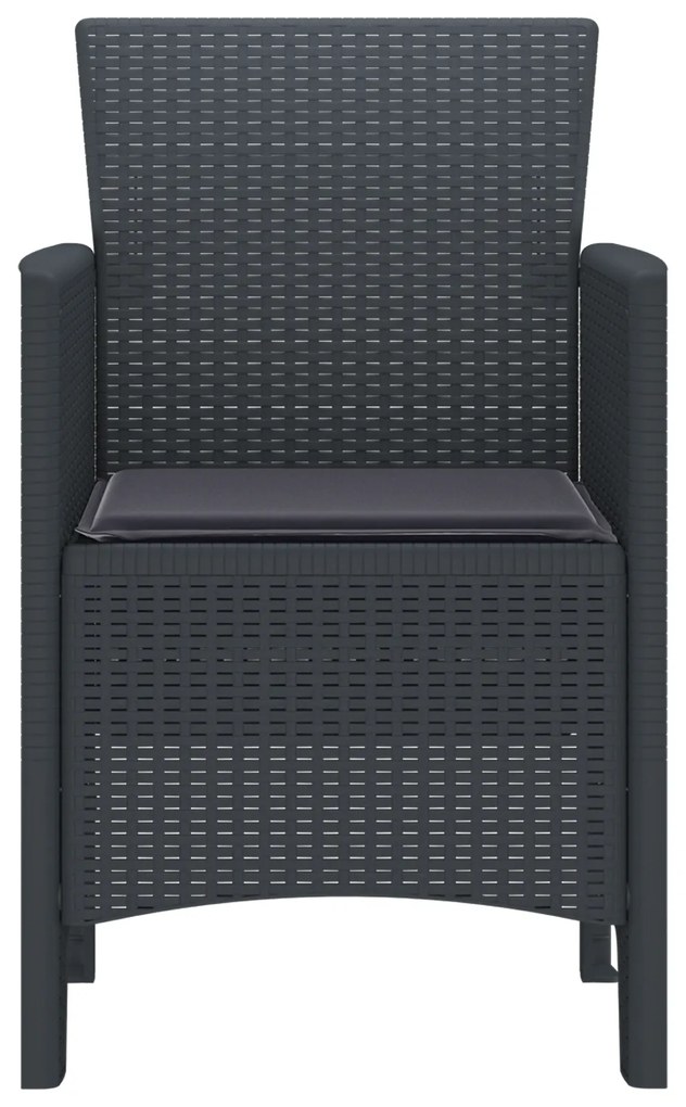 vidaXL Καρέκλα Κήπου 2 pcs Ανθρακί 53 x 49 x 85 εκ. PP