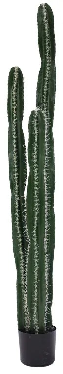Intrahome Διακοσμητικό φυτό Cactus II σε γλάστρα intrahome πράσινο pp Υ155εκ | SKU: INTRAPA-427111134