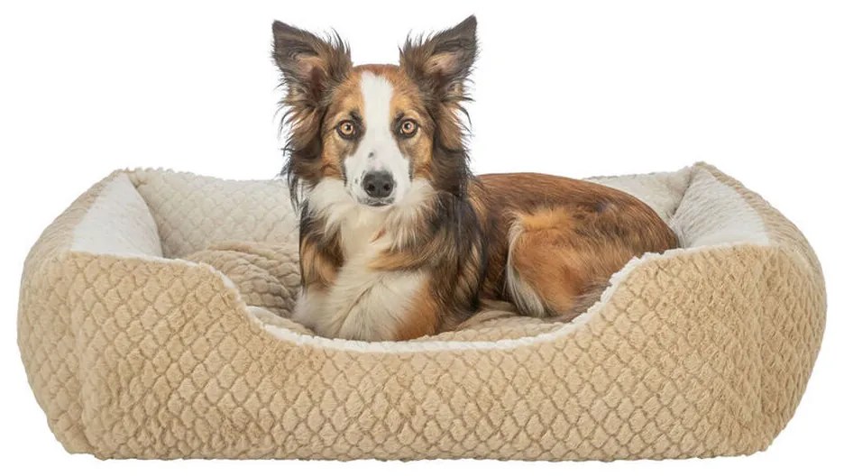 Κρεβάτιγια Σκύλους Trixie Kaline Mio Καφέ Κρεμ 65 x 50 cm