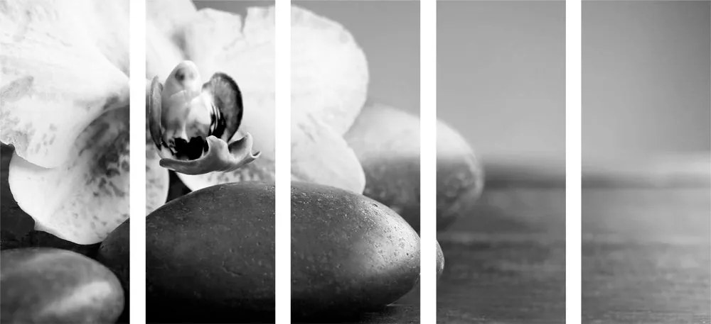 Εικόνα 5 τμημάτων ορχιδέας και πέτρες σε ασπρόμαυρο - 100x50