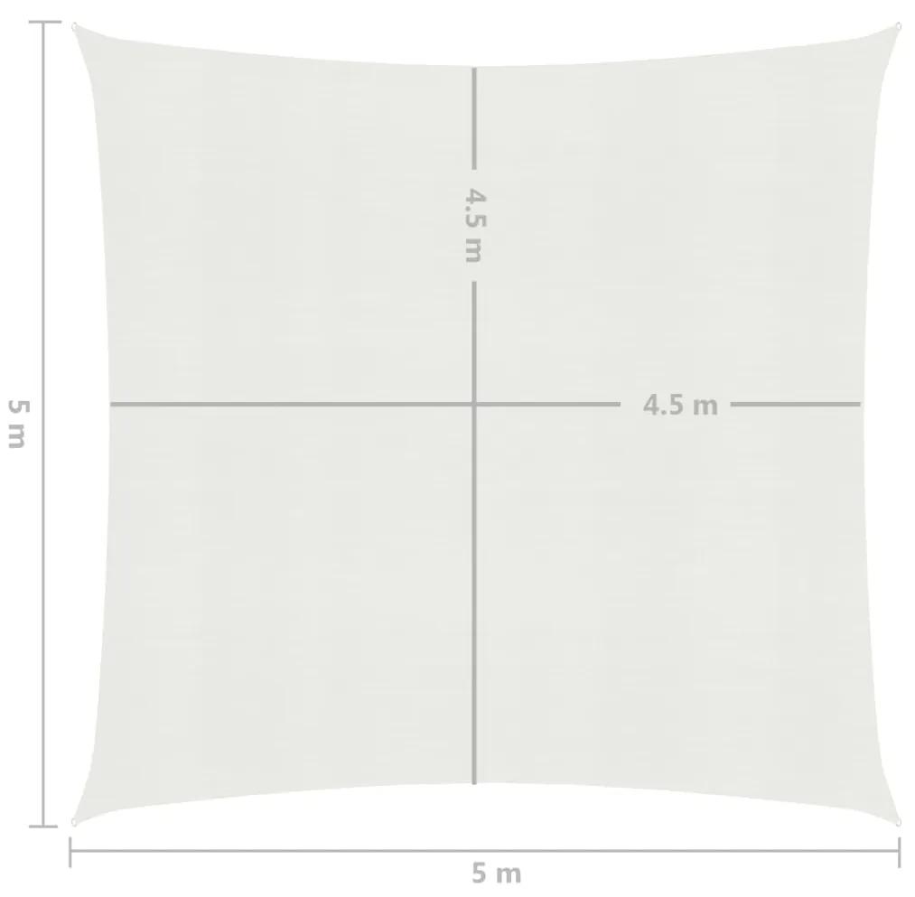 vidaXL Πανί Σκίασης Λευκό 5 x 5 μ. από HDPE 160 γρ./μ²