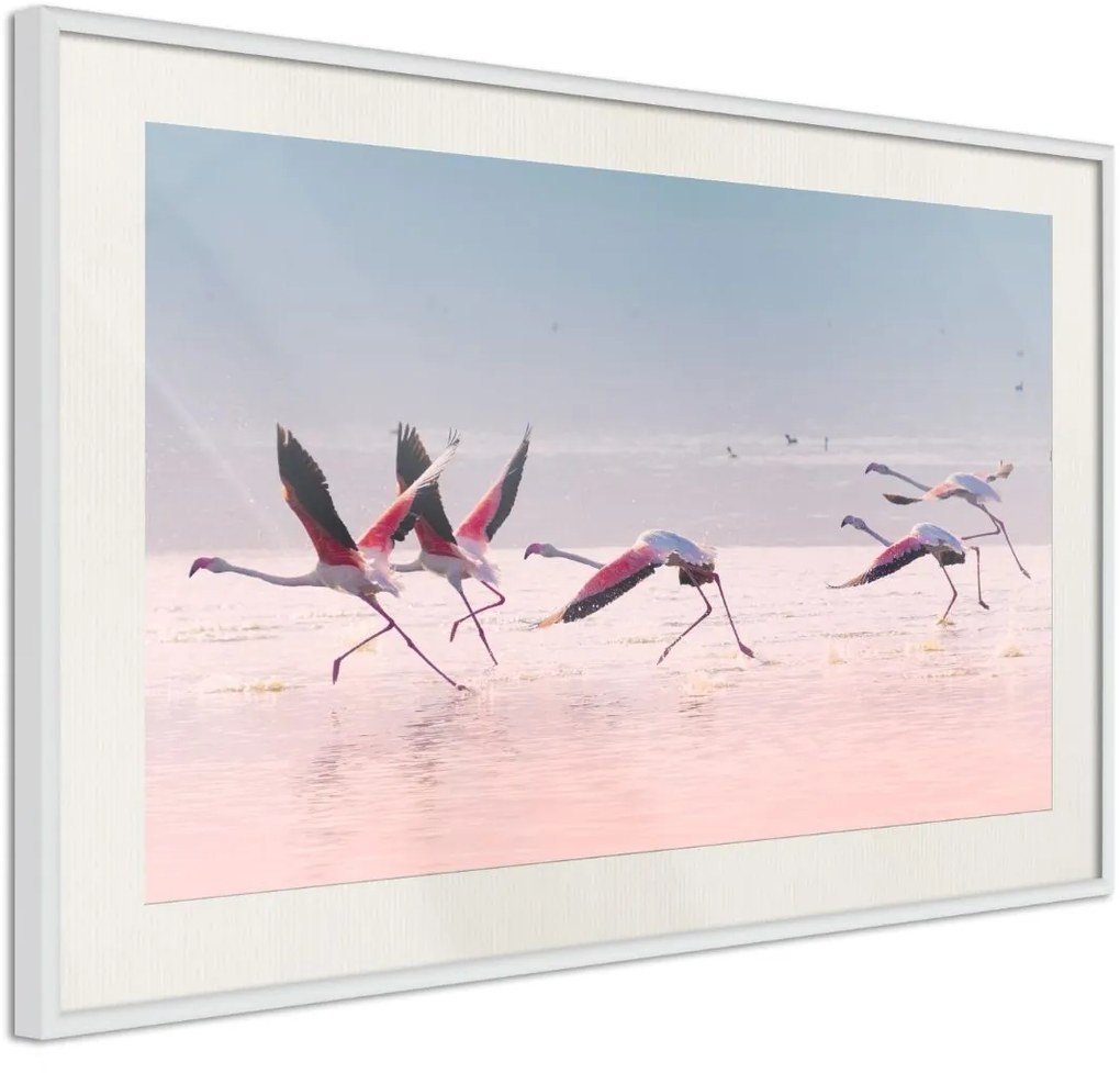 Αφίσα - Flamingos Breaking into a Flight - 30x20 - Χρυσό - Χωρίς πασπαρτού