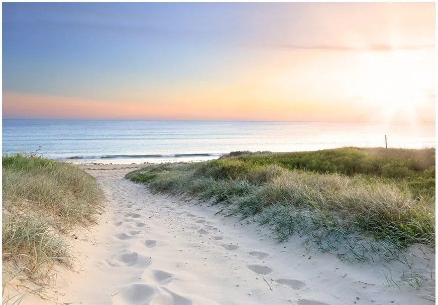 Αυτοκόλλητη φωτοταπετσαρία - Morning walk on the beach - 245x175