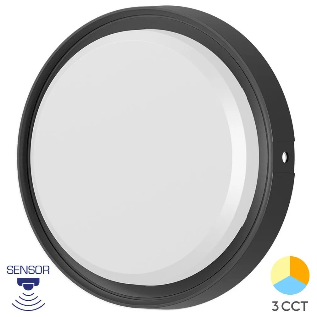 Φωτιστικό Επίτοιχο Braytron BC18-30781 Μαύρο Ματ (Black Mat) CCT3