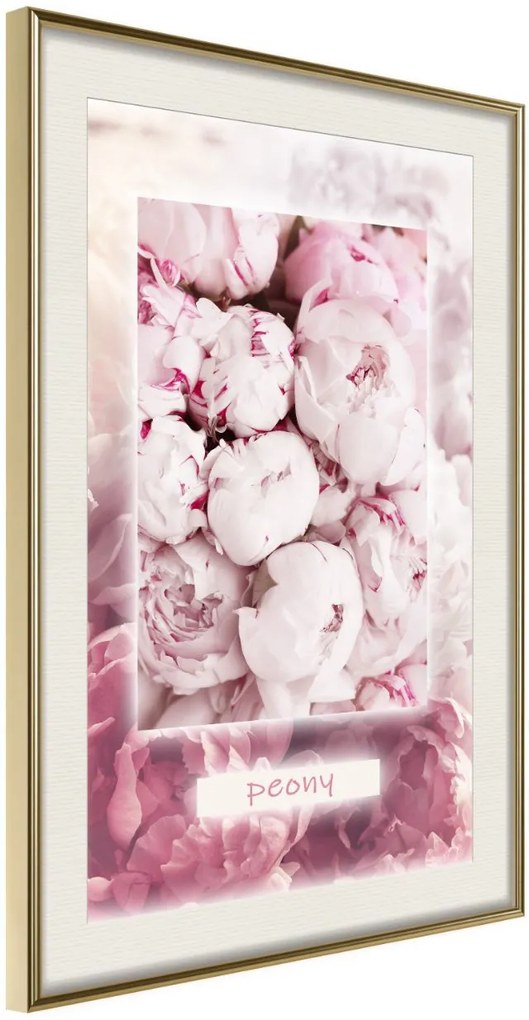 Αφίσα - Scent of Peonies - 40x60 - Χρυσό - Με πασπαρτού