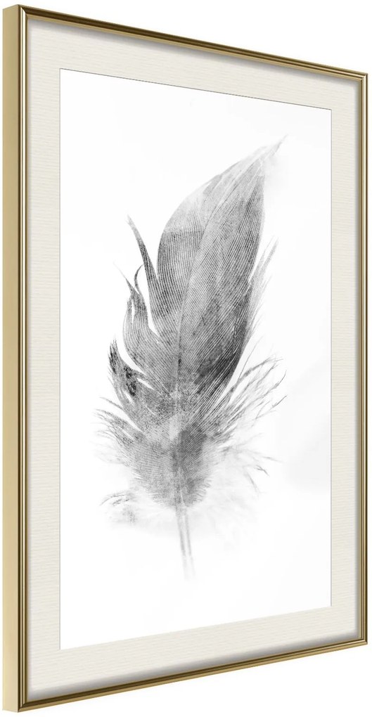 Αφίσα - Lost Feather (Grey) - 30x45 - Χρυσό - Με πασπαρτού