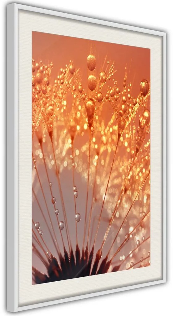 Αφίσα - Orange Breath of the Summer - 20x30 - Μαύρο - Χωρίς πασπαρτού