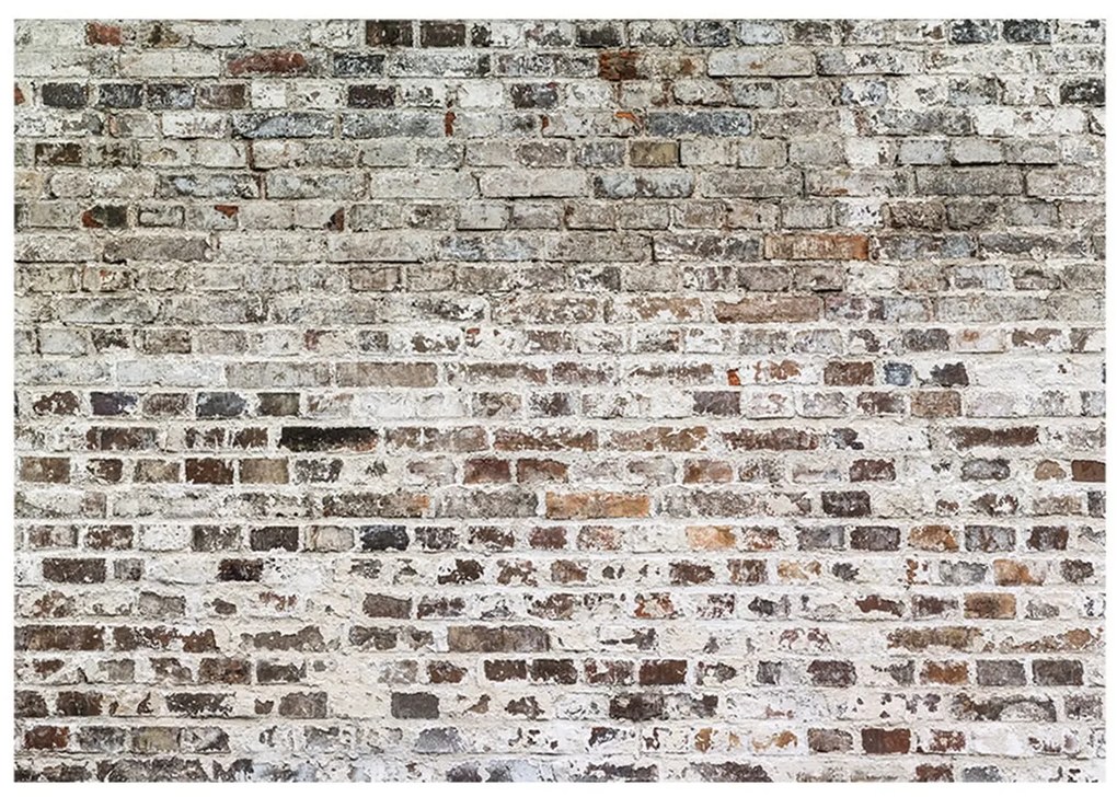 Φωτοταπετσαρία - Old Walls 150x105