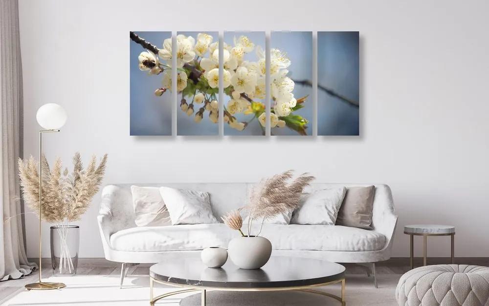 Εικόνα 5 μερών ενός κλαδιού από άνθη κερασιάς - 100x50