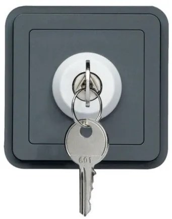 Διακόπτης 3 Θέσεων με Κλειδί Γκρι ΙΡ55 Cubyko WNA036 Hager-WNA036-Ανθρακί WNA036