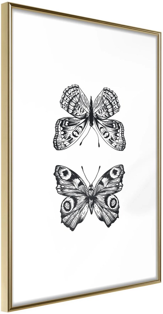 Αφίσα - Butterfly Collection I - 30x45 - Χρυσό - Χωρίς πασπαρτού