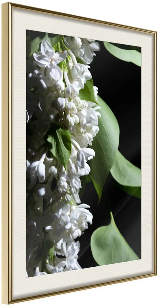 Αφίσα - Fragrant Spring - 20x30 - Χρυσό - Με πασπαρτού