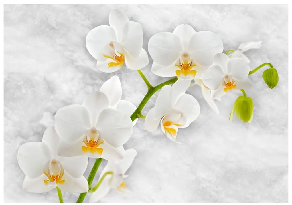 Φωτοταπετσαρία - Lyrical orchid - White 200x140