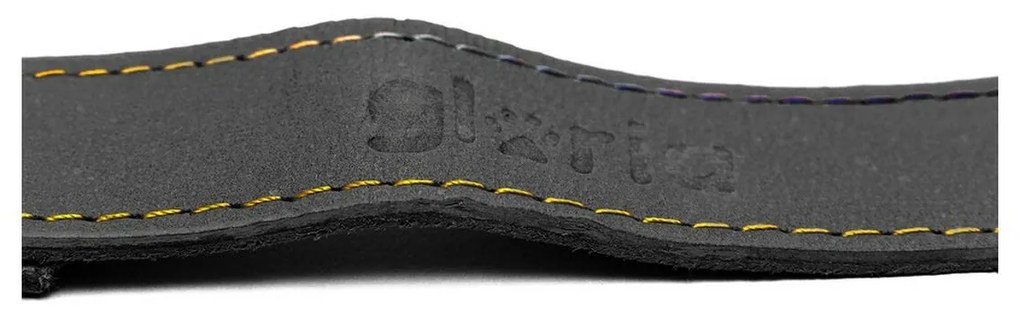 Λουρί Σκύλου Gloria Oasis Μαύρο (2.1 x 100 cm)