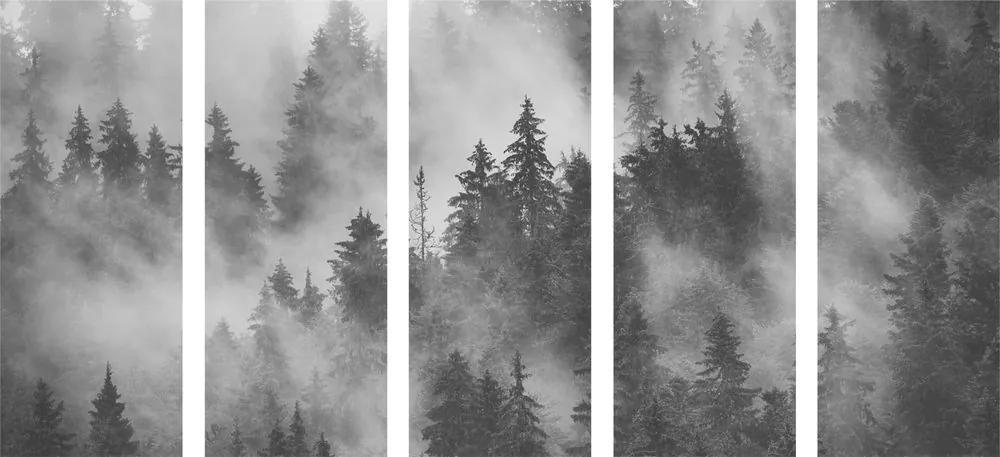 Εικόνα 5 τμημάτων βουνά στην ομίχλη σε μαύρο & άσπρο - 100x50