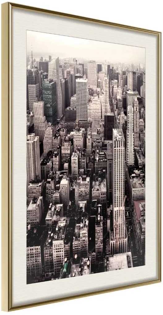 Αφίσα - New York from a Bird's Eye View - 20x30 - Χρυσό - Με πασπαρτού